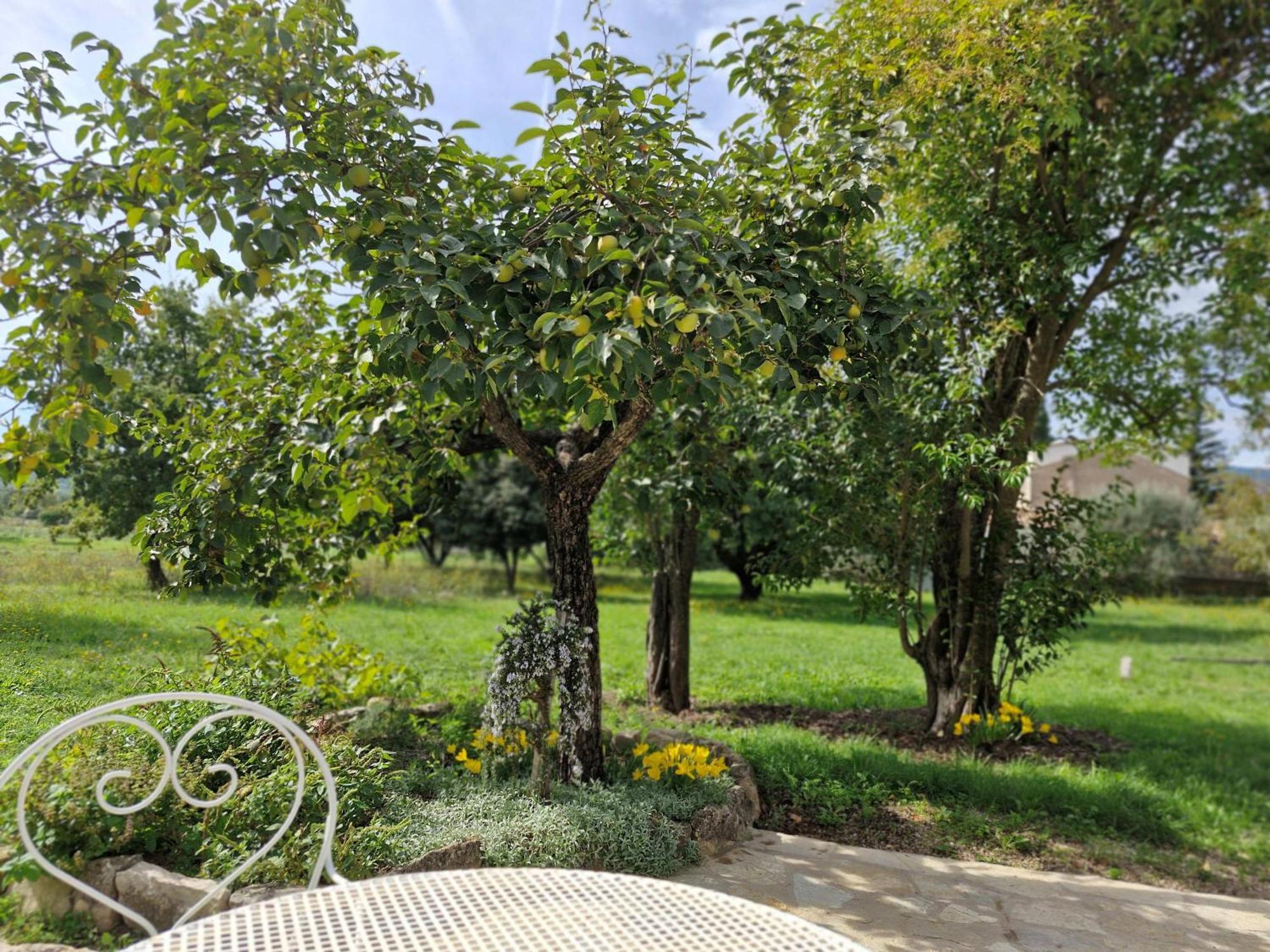 La Bastideta, Fayence